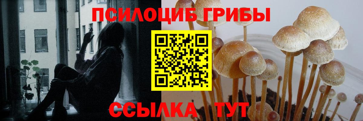 Псилоцибиновые грибы ЛСД  Псилоцибиновые грибы GOLDEN TEACHER  Екатеринбург  Вход с VPN 